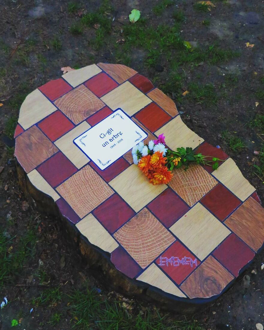 Meet Ememem, The Floor Surgeon