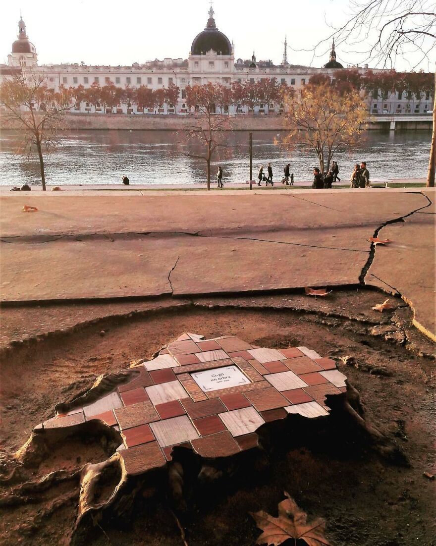 Meet Ememem, The Floor Surgeon