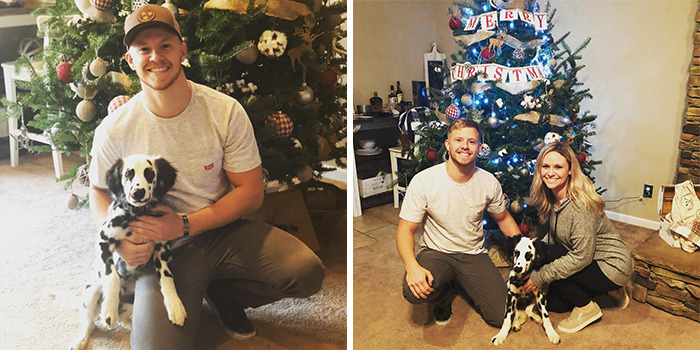 Meet The Adorable Dog That Looks Like A Mix Between A Dalmatian And A Golden Retriever Meet The Adorable Dog That Looks Like A Mix Between A Dalmatian And A Golden Retriever