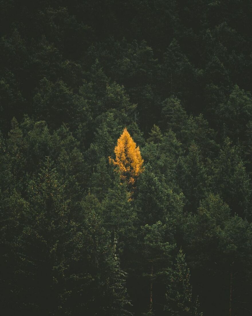 Meet The Stunning Aerial Photographs Of Gábor Nagy