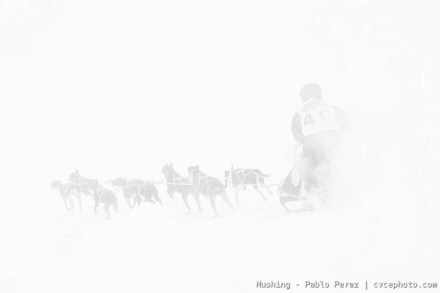 Mushing - Pablo Perez