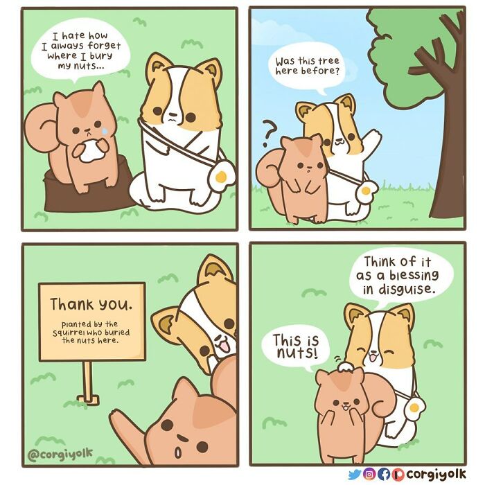 My 15 Wholesome Comics About A Corgi And His Animal Friends To Warm Your Heart Amid Pandemic