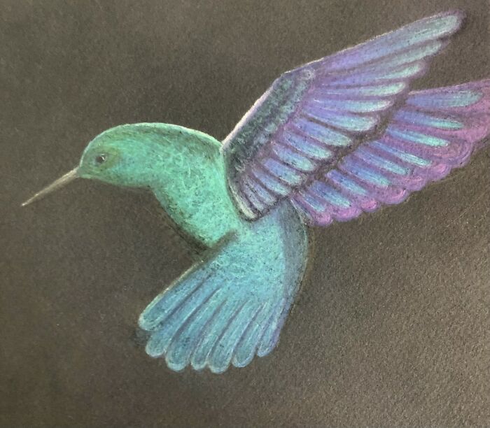 My First Hummingbird