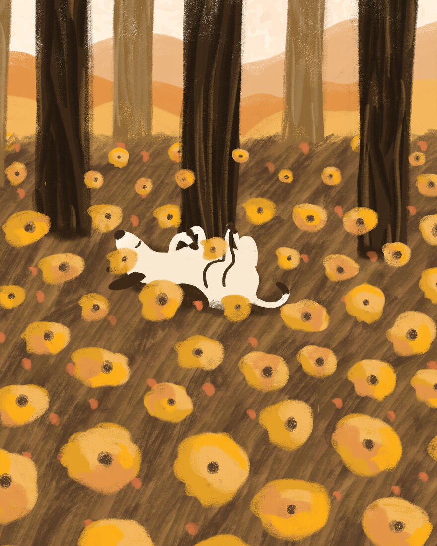 Daily Walks With Pets