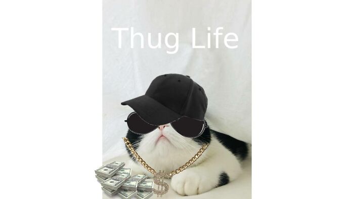 Thug Life