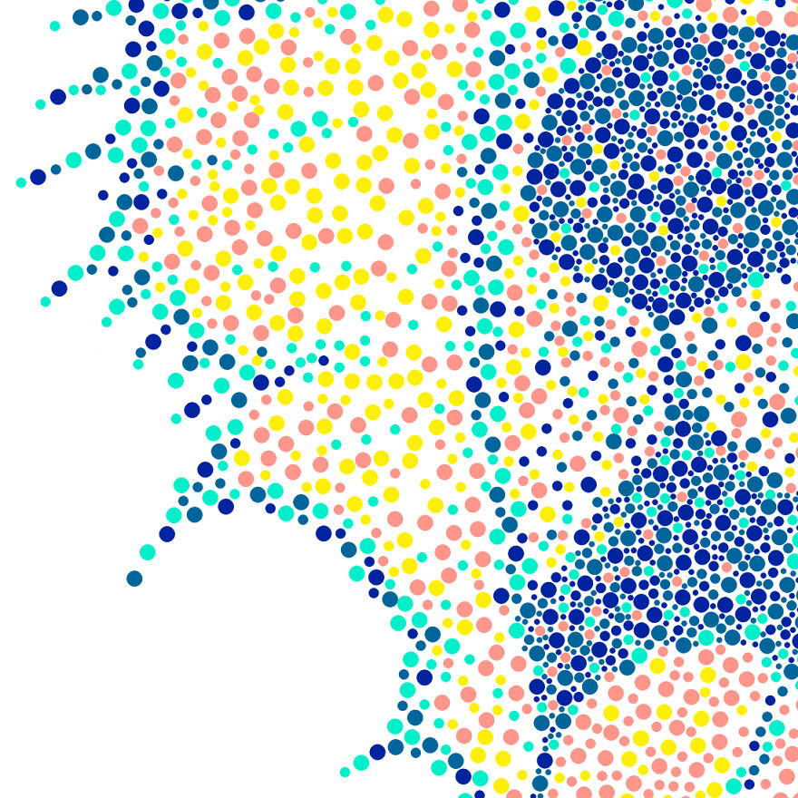 Golden Retriever Detail