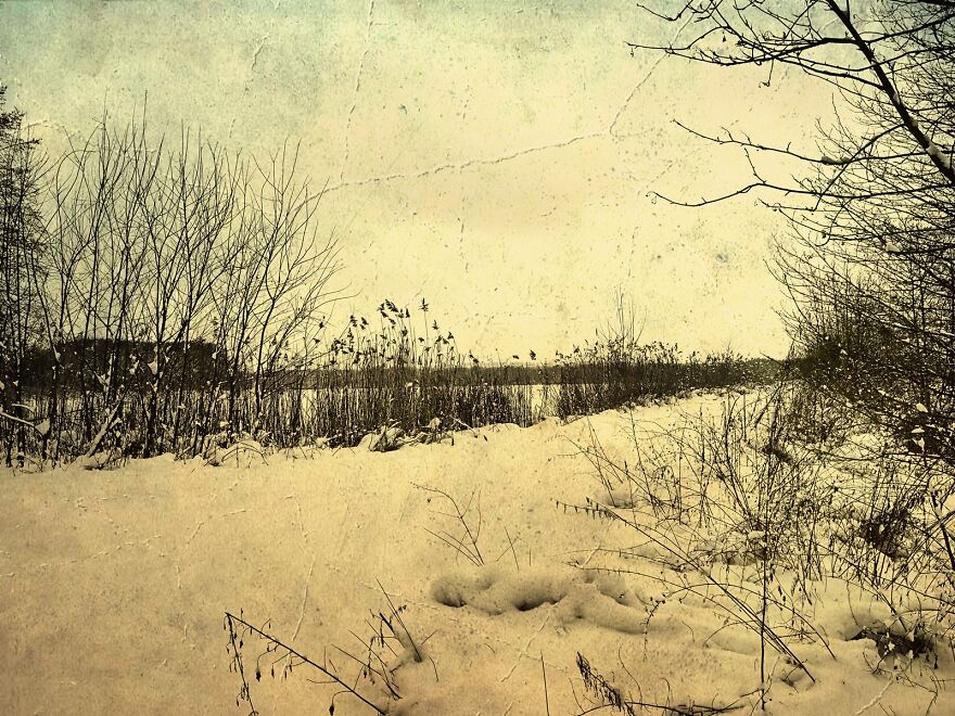 Visualization Of Winter Visualization Of Winter