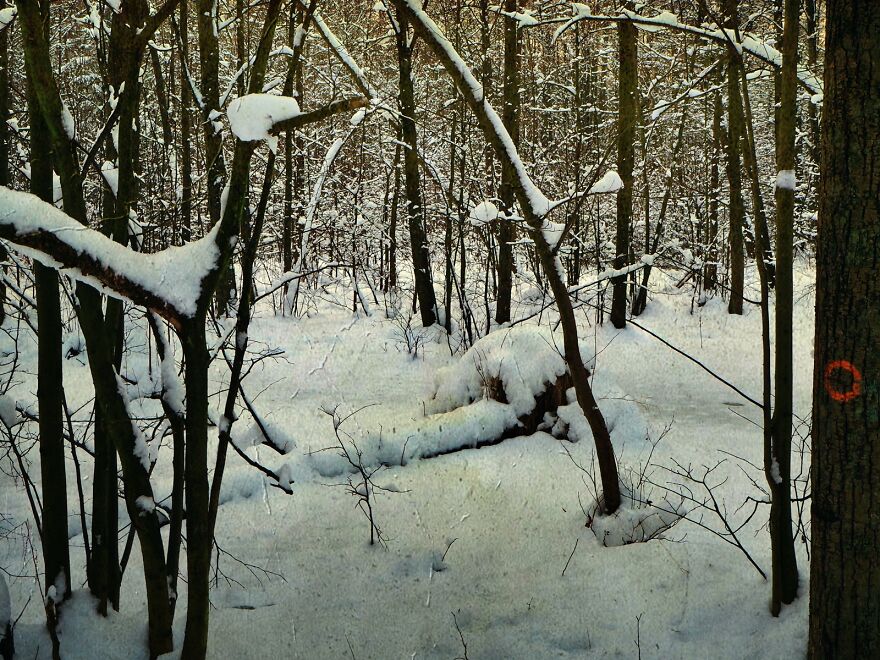 Visualization Of Winter