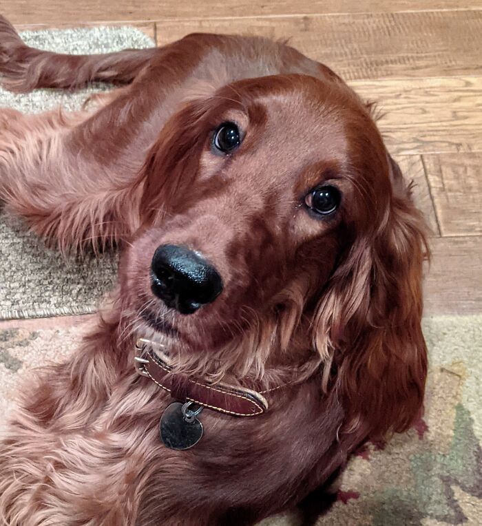 'i Think I'm Getting The Hang Of This 'Selfie' Mode' Said Lady.