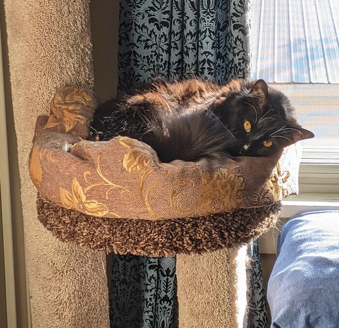 Ella Giving A Little Side-Eye