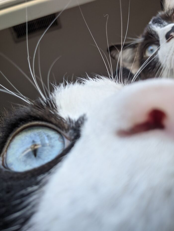 First Selfie Ever! How'd It Go?