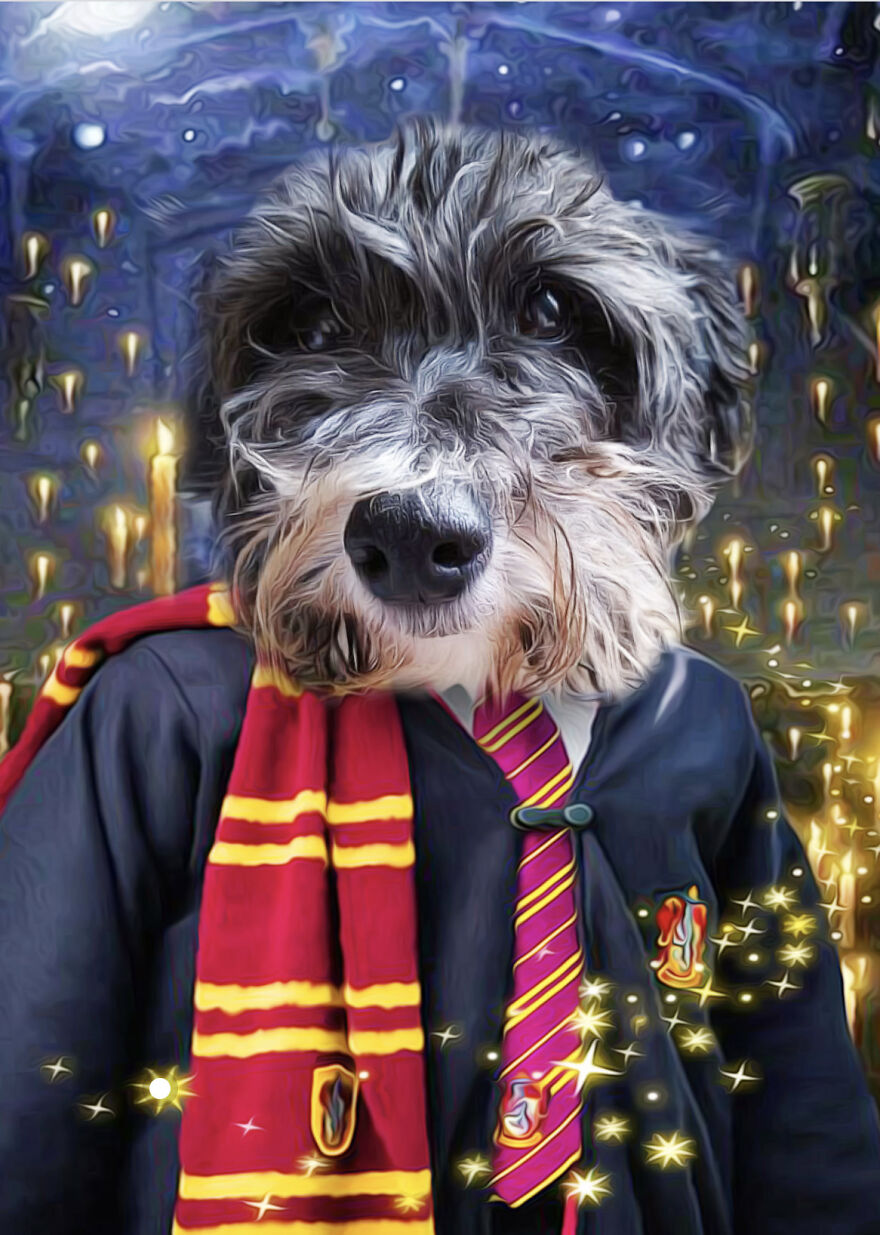 We Make Pet Portraits Created From Your Photos