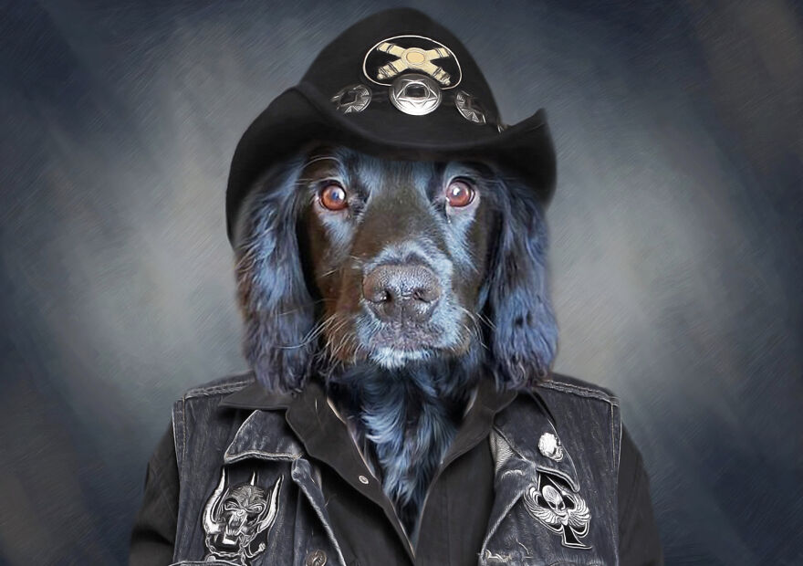 We Make Pet Portraits Created From Your Photos