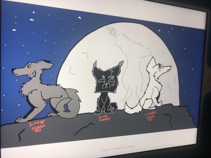 Lucas: Leader Apprentice (Gray Wolf) Lindal: Leader Apprentice (White Fox) Lucy: Leader (Black Fluffy Wolf)