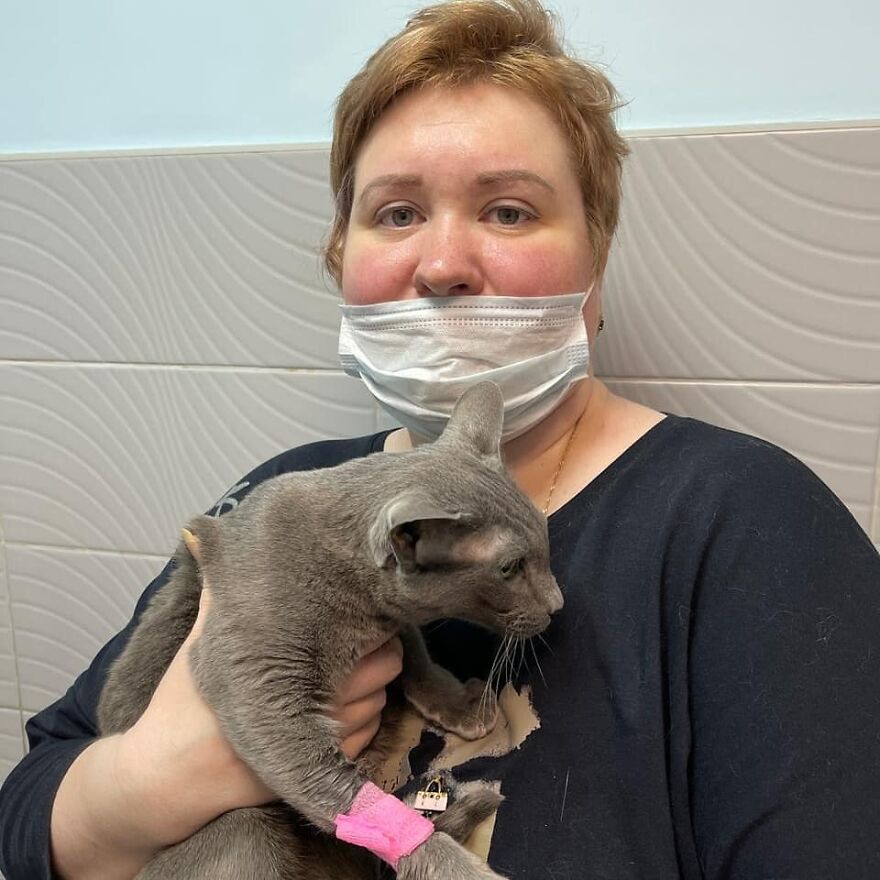 Cat Psychologist Busts 13 Myths About Cats And All Cat Owners Should Know Why These Myths Are Wrong Cat Psychologist Busts 13 Myths About Cats And All Cat Owners Should Know Why These Myths Are Wrong