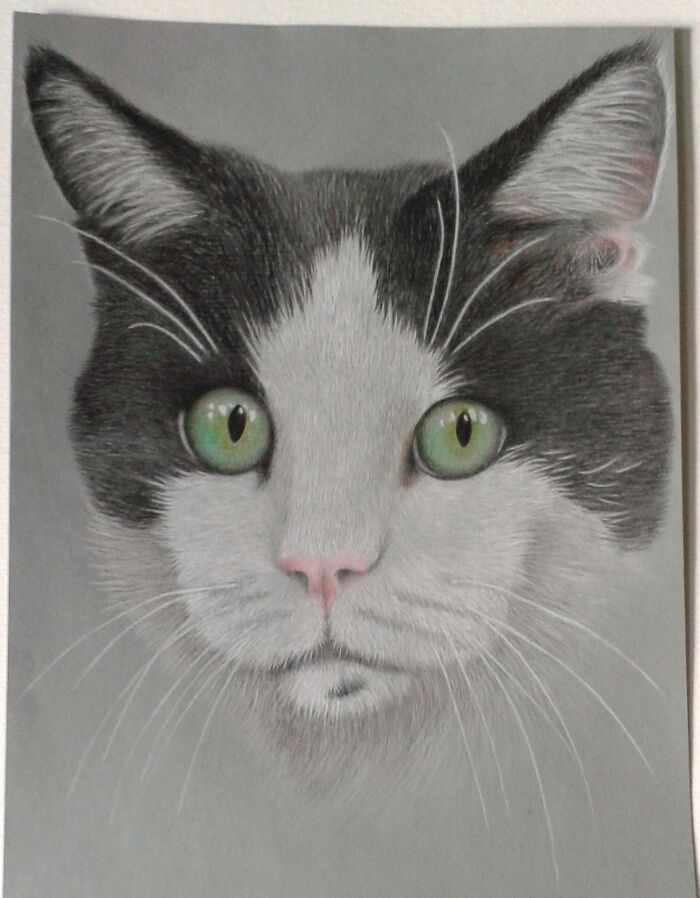 This Is My Cat Schnuppi.