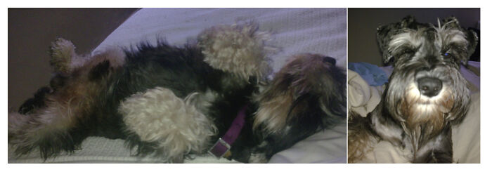 Dead Tired!..... Mid Sleep His Pops Calls Him... That Face!