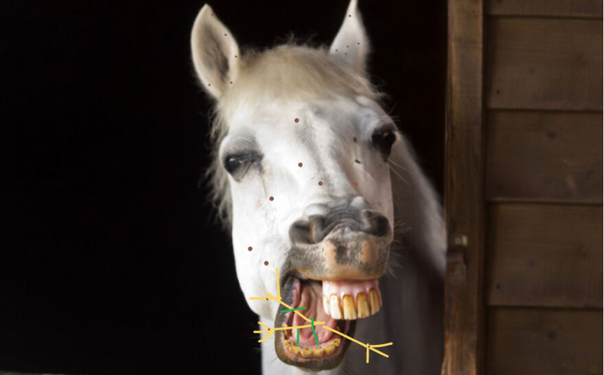 Hay(Hey)! Leave Me Alone Im Eating
