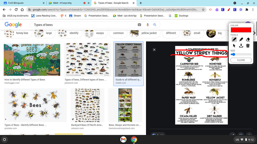 The Funniest Spelling Fails