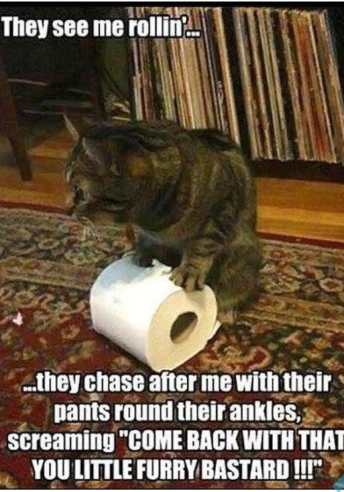 Sorry, Idk What To Put Here