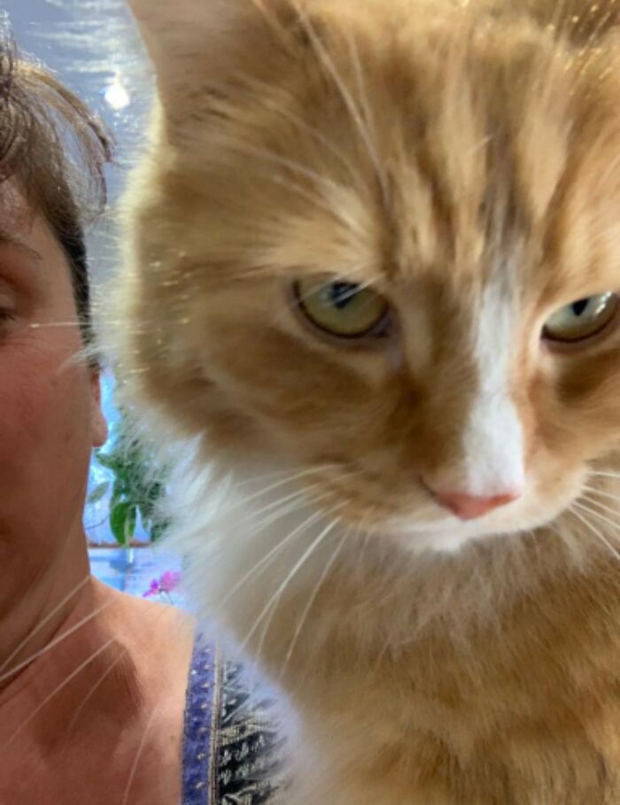 My Cat Litteraly Despises My Mum