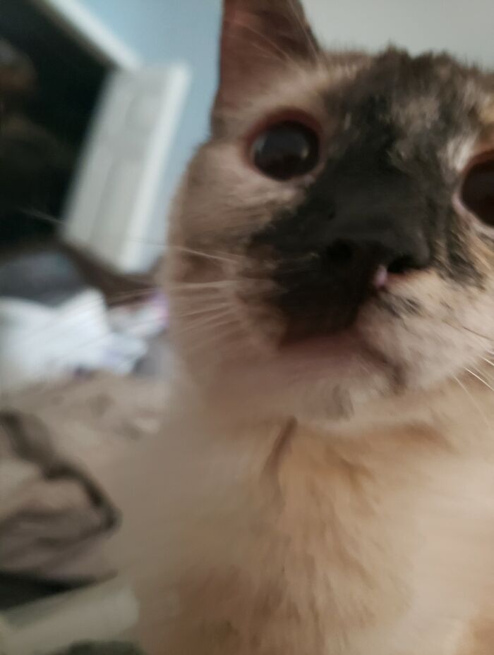 When Your Front Camera Opens Unexpectedly