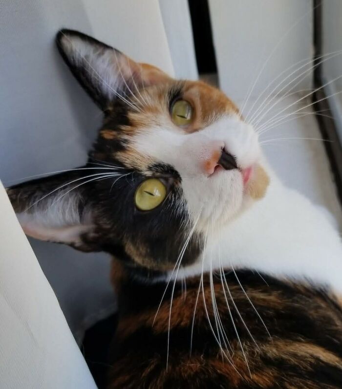 Eyeliner And Pupils Sharp Enough To Kill A Man