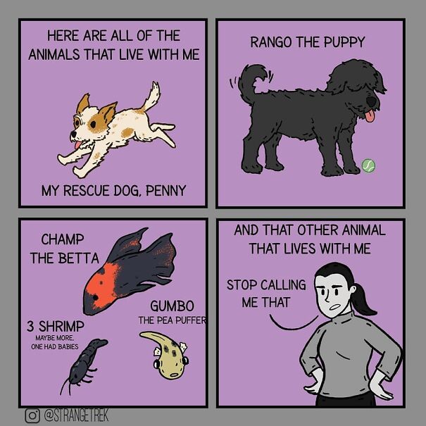 Strangetrek Will Amuse You With His Fun And Sincere Comics