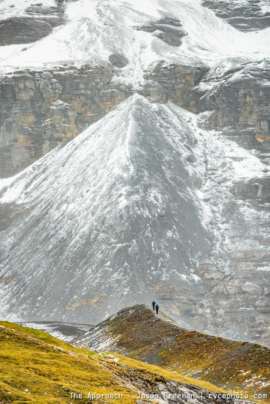 The Approach - Jason Freeman