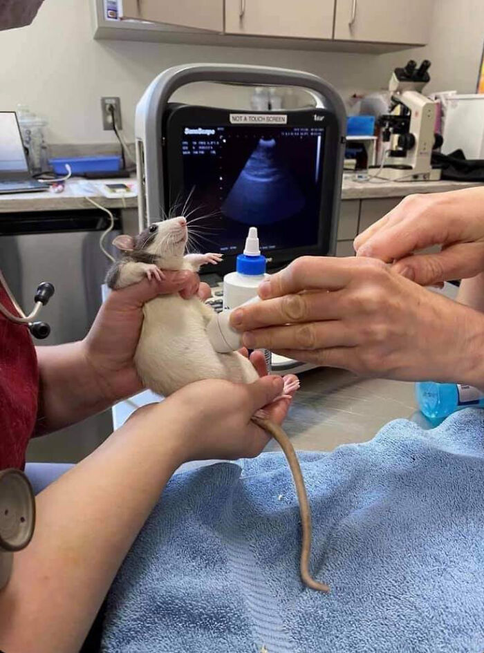 This Facebook Page Is All About Animal Images That Need To Be Seen (100 New Pics)