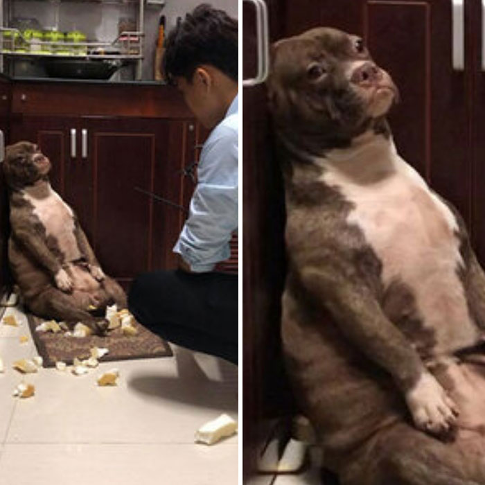 This Facebook Page Is All About Animal Images That Need To Be Seen (100 New Pics)