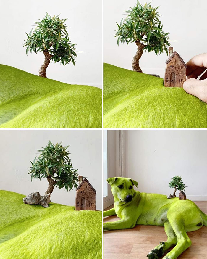 This Facebook Page Is All About Animal Images That Need To Be Seen (100 New Pics)