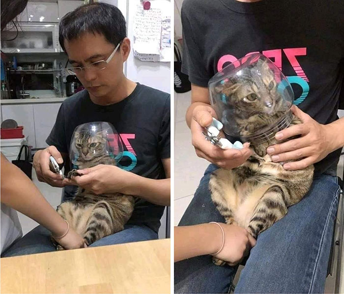 This Facebook Page Is All About Animal Images That Need To Be Seen (100 New Pics)