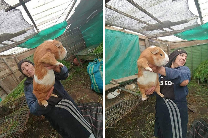 This Facebook Page Is All About Animal Images That Need To Be Seen (100 New Pics)