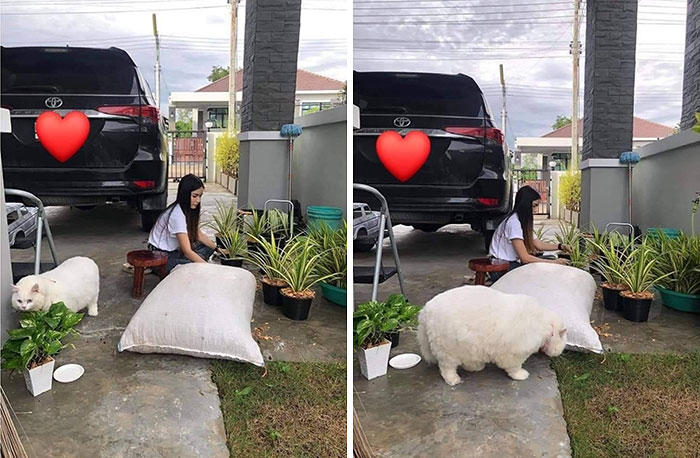 This Facebook Page Is All About Animal Images That Need To Be Seen (100 New Pics)