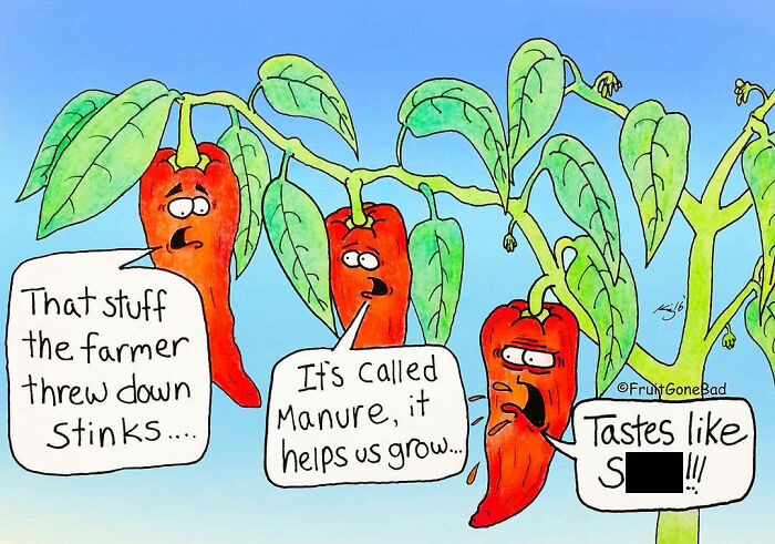 Fruit-Veggies-Foods-Comics-Dark-Humor-Fruit-Gone-Bad-NY-Cartoonist