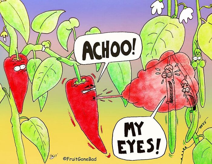 Fruit-Veggies-Foods-Comics-Dark-Humor-Fruit-Gone-Bad-NY-Cartoonist