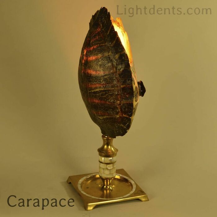 This Artist Turns Old Musical Instruments Into Lamps