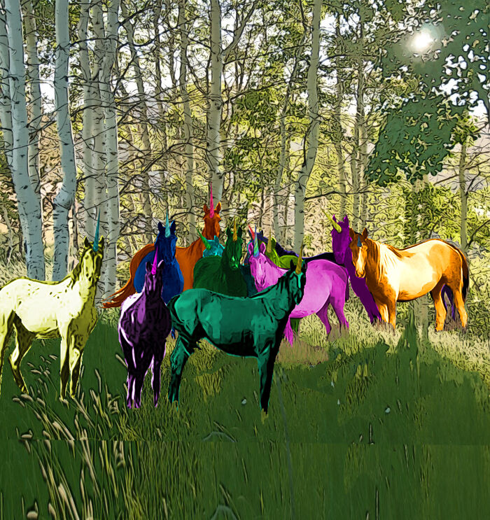 A Blessing Of (Rainbow) Unicorns