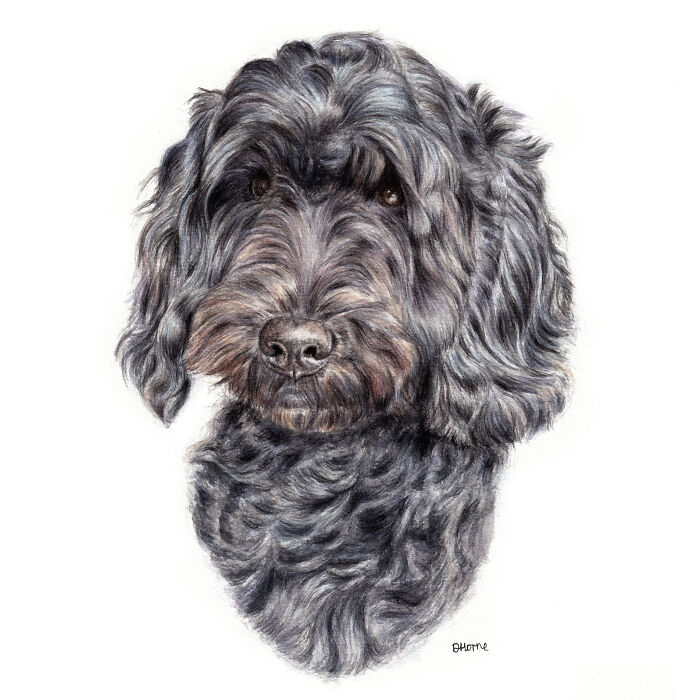 I Paint Watercolour Pet Portraits