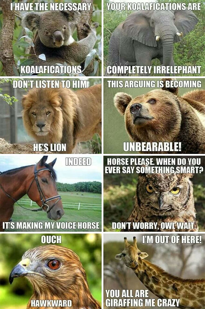 My Favorite Animal Meme