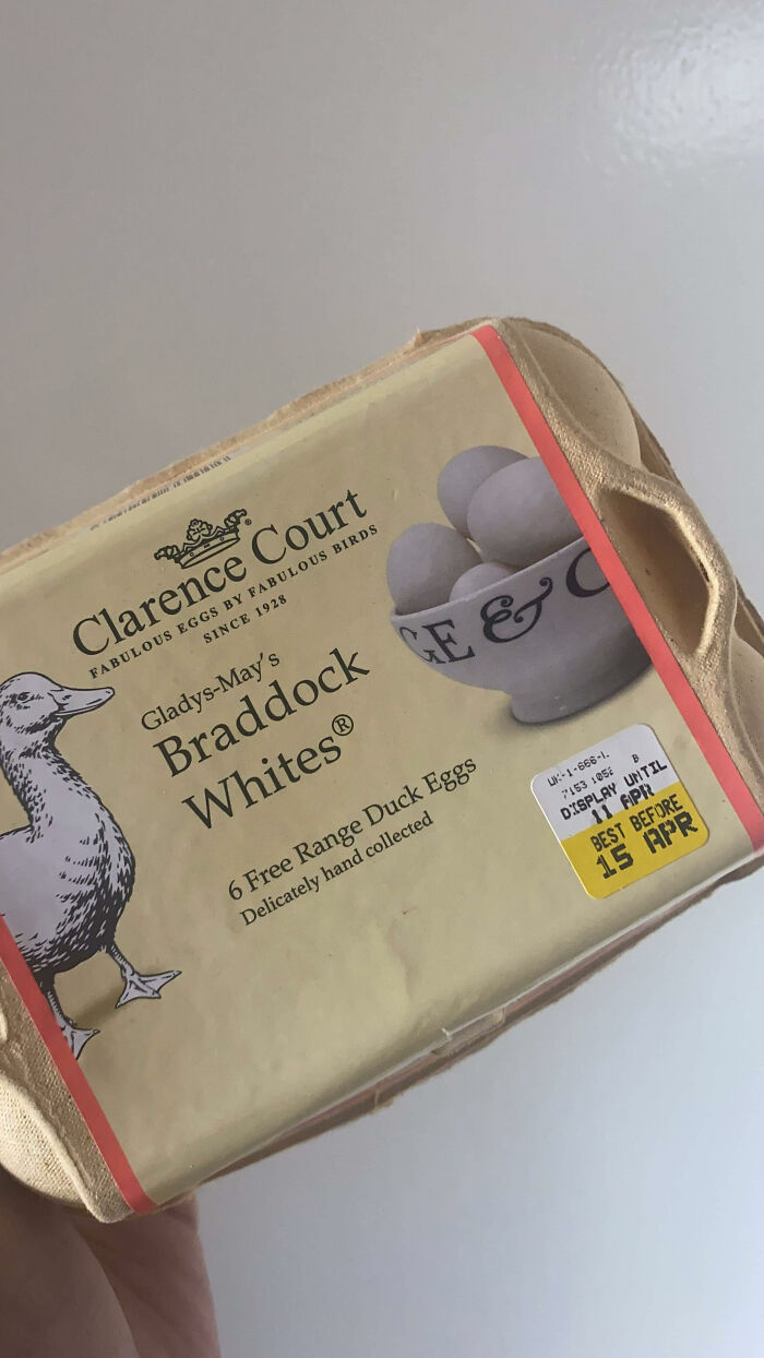 Woman Surprised After A TikTok Hack Worked And She Hatched A Duck From A Supermarket Egg