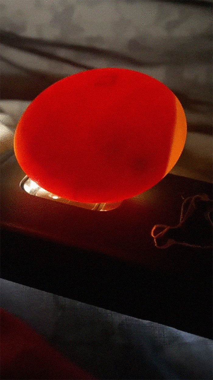 Woman Surprised After A TikTok Hack Worked And She Hatched A Duck From A Supermarket Egg