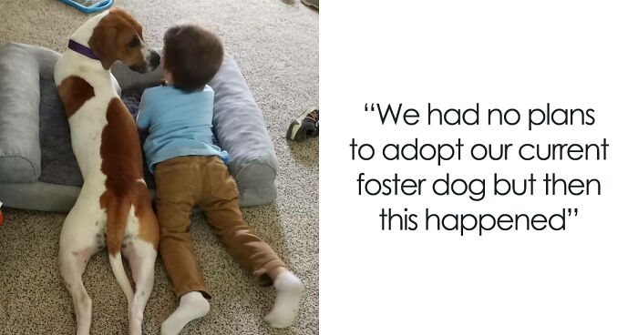 30 Of The Most Wholesome Rescue Pet Photos This May