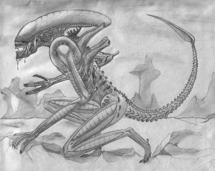 Xenomorph.