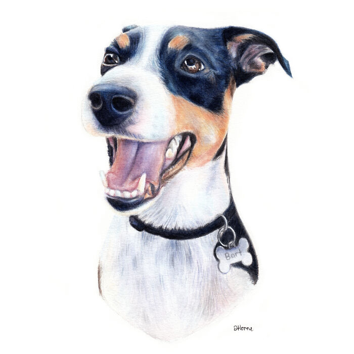I Paint Watercolour Pet Portraits