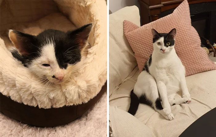 It's Bonya's Adoption Anniversary! From 6 Weeks To Over A Year Old