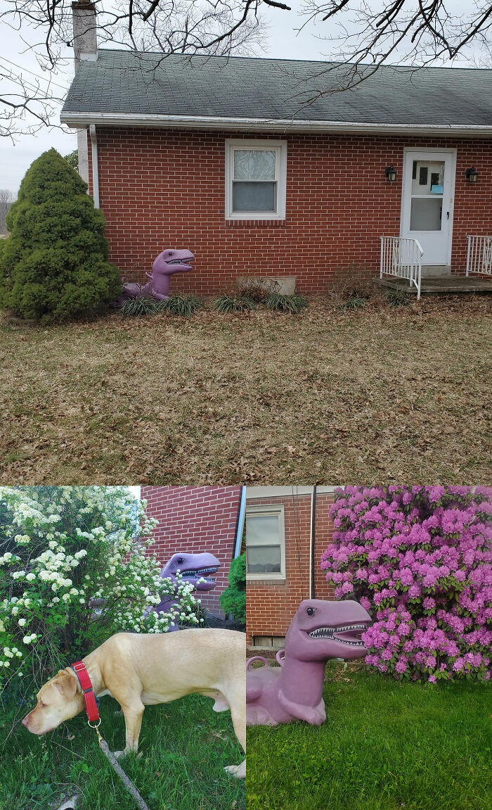 We Came Home From Vacation To Find This Dinosaur "Planted" In My Garden