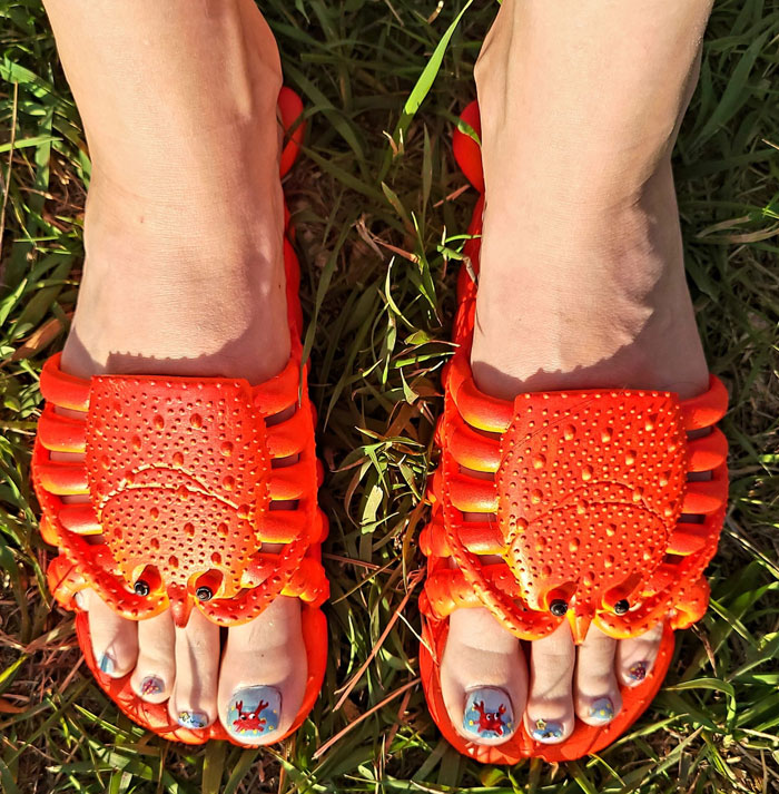 I Don't Mean To Be A Clawfull, But After Waiting Forever To Find Something Worthy Of Posting To This Group, I Finally Have!! I Finally Have Something To Shellabrate!!