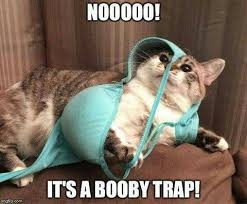 booby-trap-60955ddf4b50f.jpg